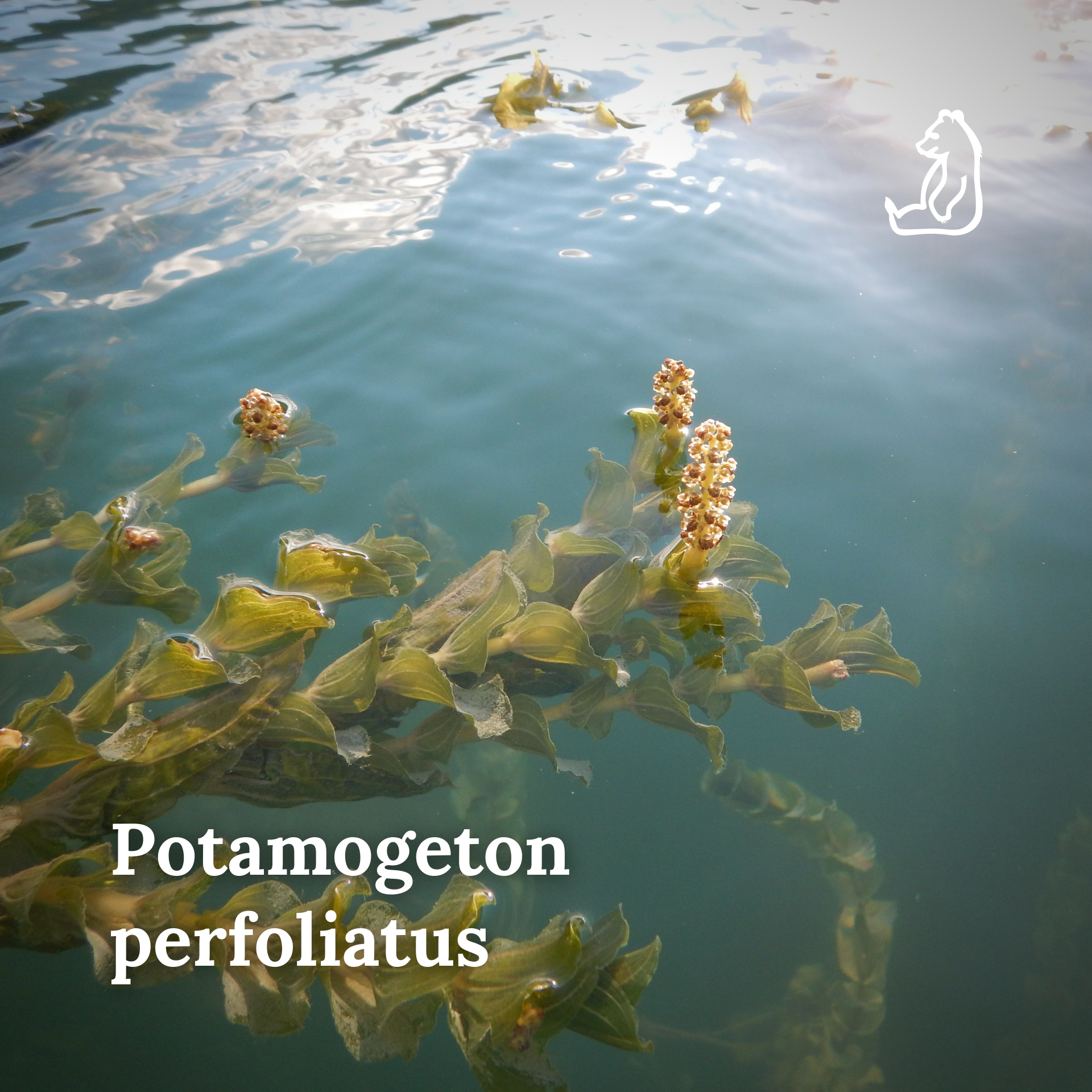PNALM, collaborazione con Enel per biodiversità