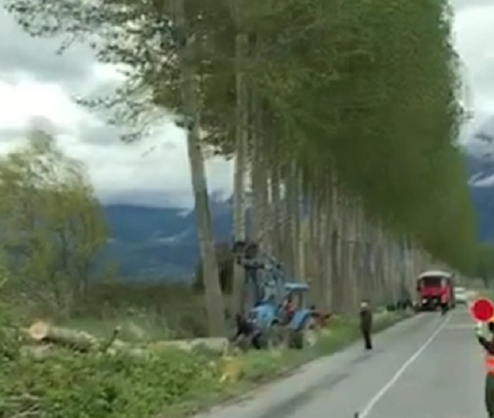 Taglio pioppi nel Fucino: scoppia la polemica