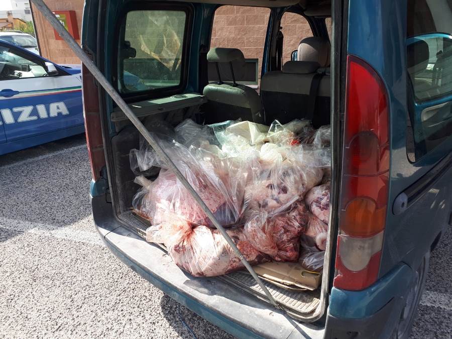 Avezzano: sequestrati due quintali di carne