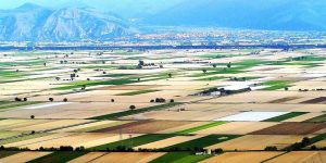 Consorzio di Bonifica: Confagricoltura sfiducia il presidente Di Berardino